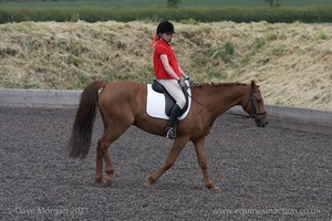 ISIS Dressage Challenge 2008